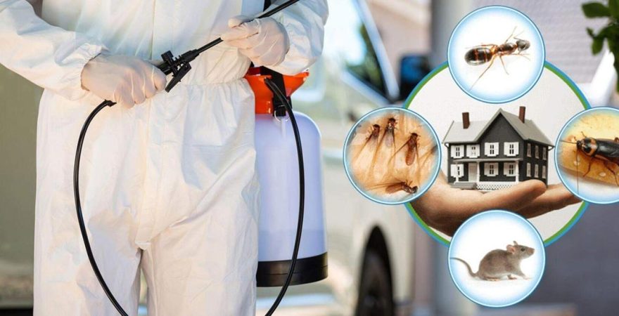 Tuşba Böcek İlaçlama