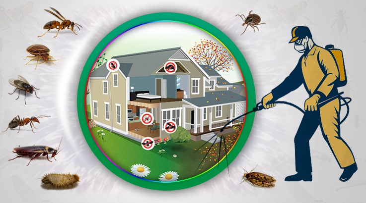 Tuşba Böcek İlaçlama