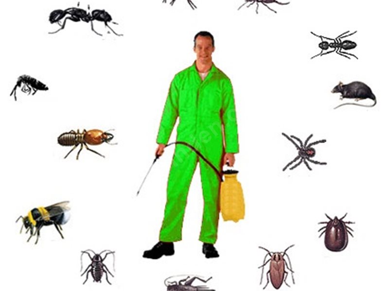 Tuşba Böcek İlaçlama